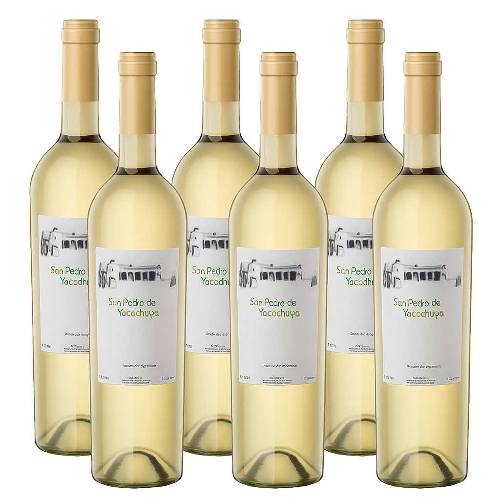 San Pedro de Yacochuya Torrontes 750ml (6 Bottles)