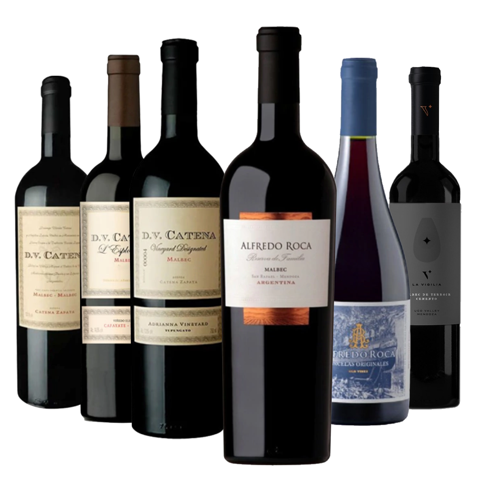 Malbec Masterclass: A Curated Argentine Tasting (6 Bottles)