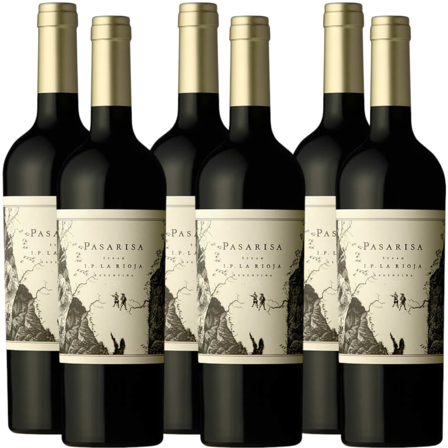 Pasarisa Syrah from La Rioja 750ml (6 Bottles)