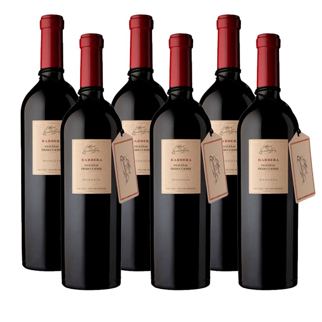 Escorihuela Gascón Pequeñas Producciones Barbera 750ml (6 bottles)