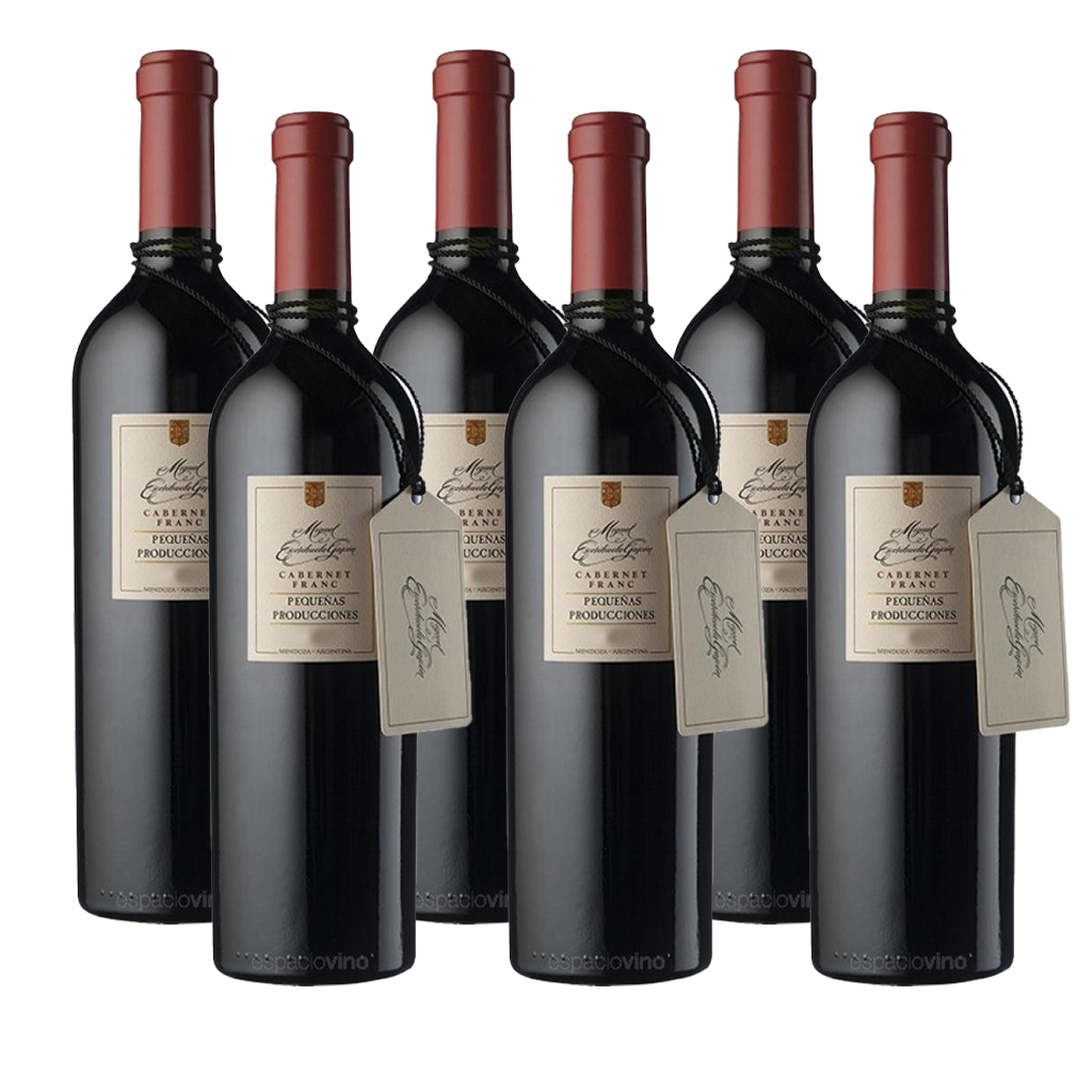Escorihuela Gascón Pequeñas Producciones Cabernet Franc 750ml (6 bottles)