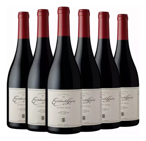 Escorihuela Gascón Pinot Noir 750ml (6 Bottles)