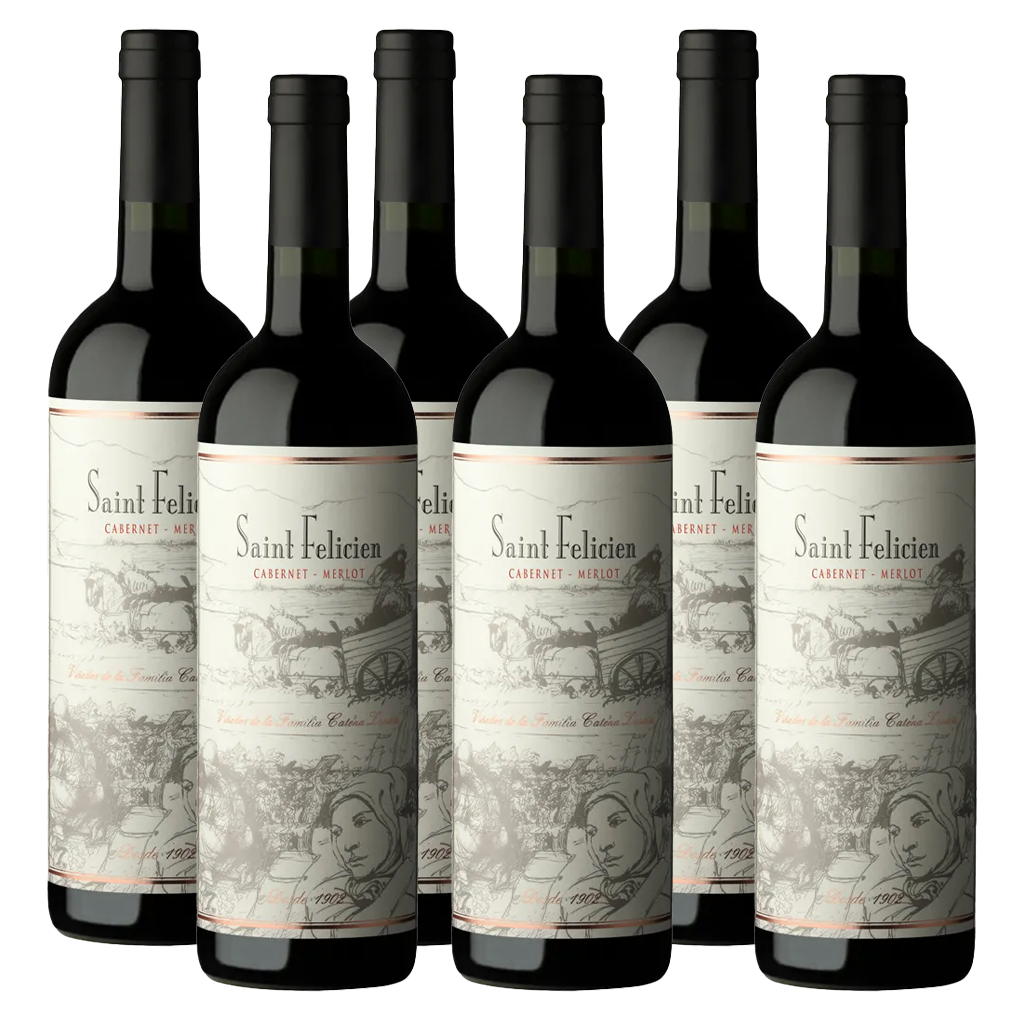 Saint Felicien Cabernet-Merlot 750 ml (6 botellas)