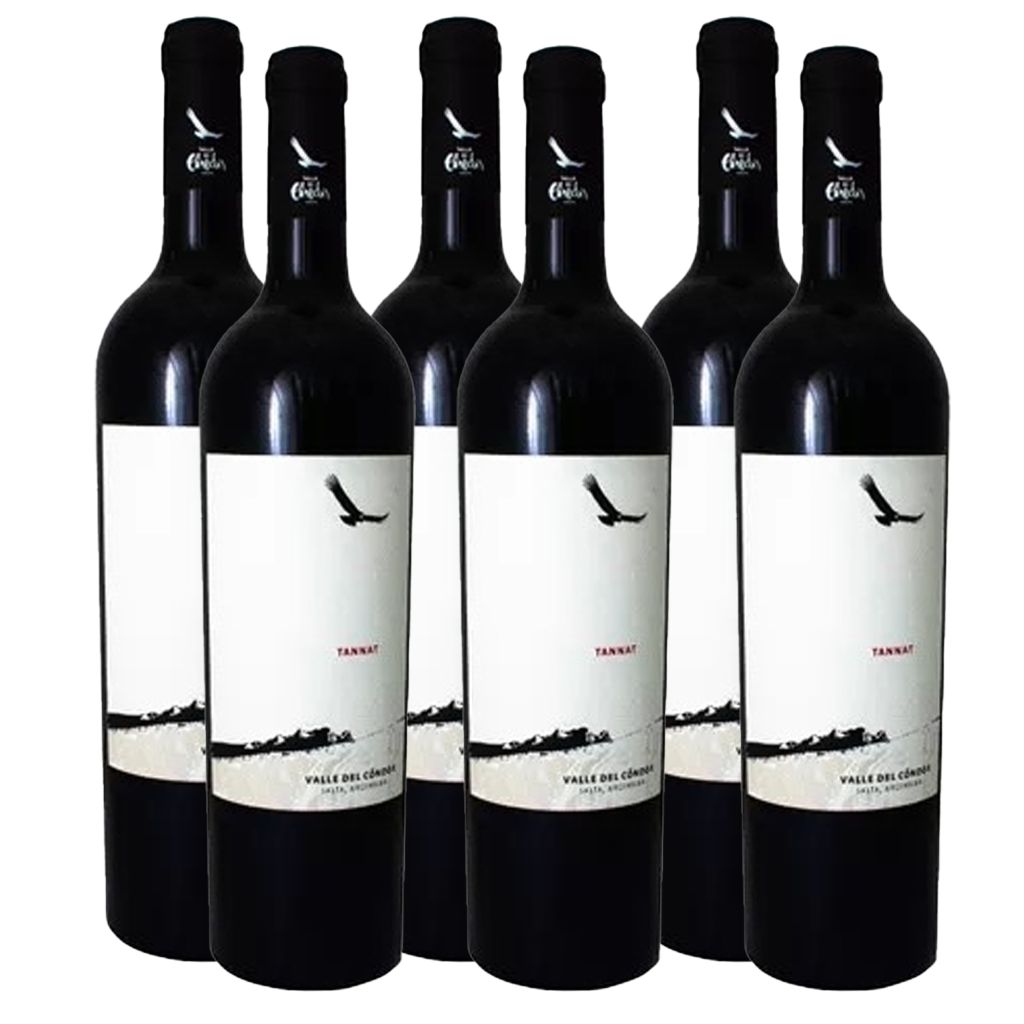 Valle Del Cóndor Tannat 750ml (6 Botellas)
