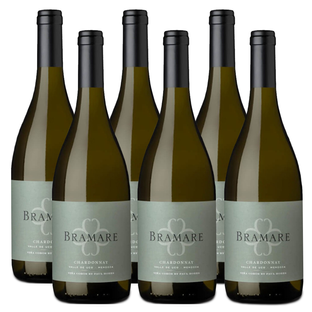 Viña Cobos Winery - Bramare Valle de Uco Chardonnay 750ml (6 Bottles)