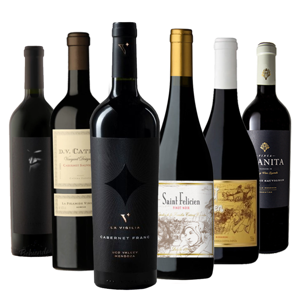 The Argentino Sommelier’s Pick: Signature Bottles (6 Bottles)