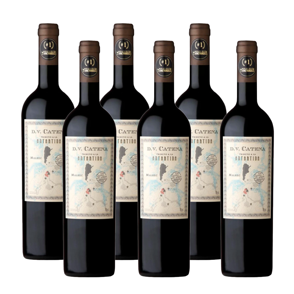 Dv Catena Tribute to Antarctica Special Edition (6 Bottles)