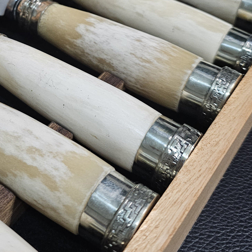 Exclusive Smooth Bone Cutlery Set with Double Alpaca - Handcrafted Argentine Artistry