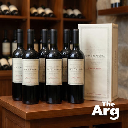 Dv Catena Syrah-Syrah 750ml (6 Botellas)