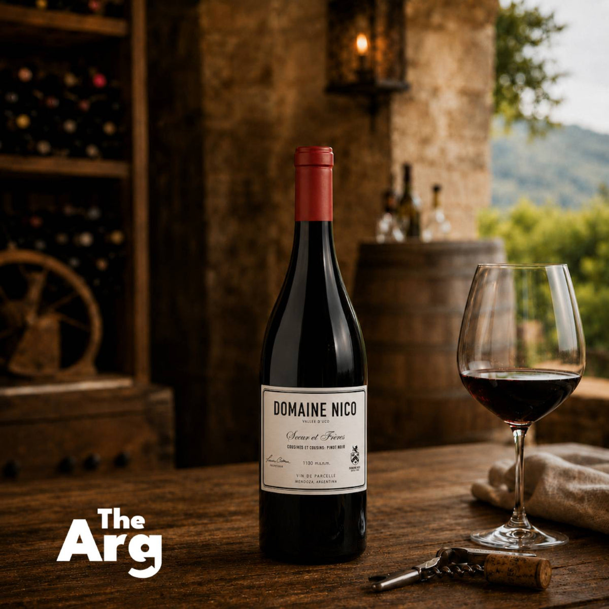 Domaine Nico Cousines et Cousins Pinot Noir 6-Bottle Case