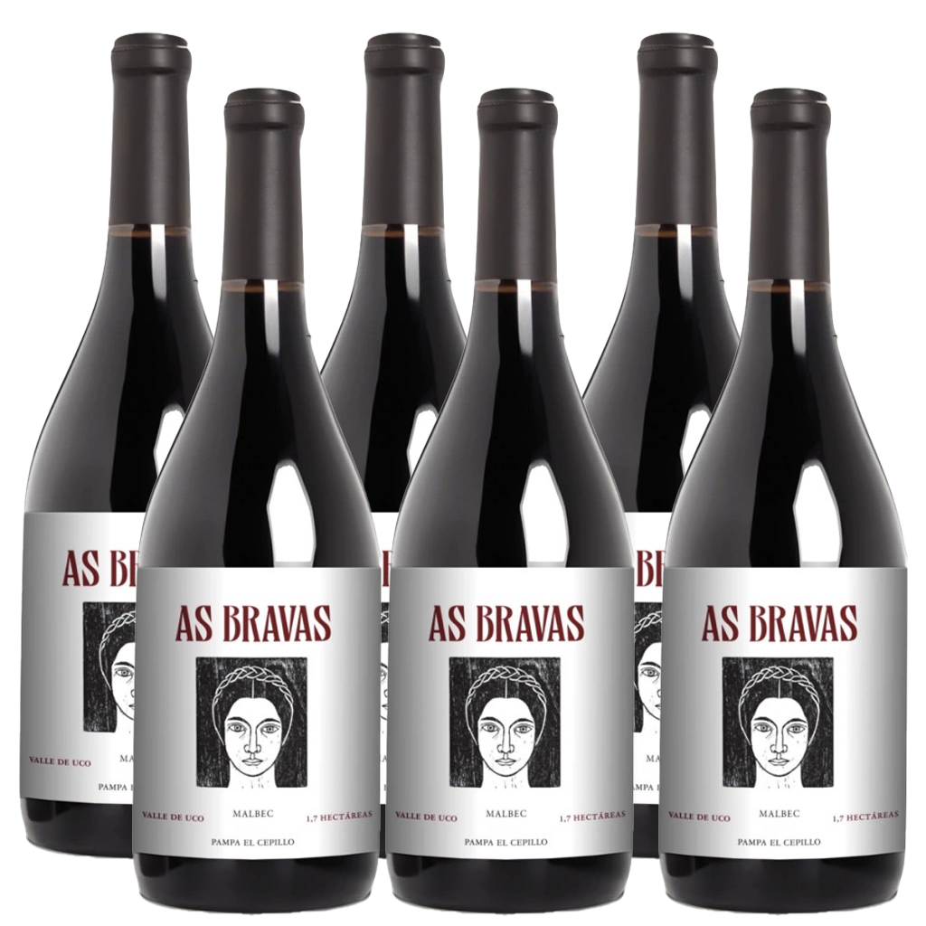 El Enemigo As Bravas Malbec 750ml (6 Bottles)