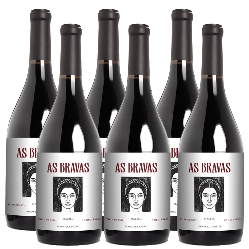 El Enemigo As Bravas Malbec 750ml (6 Bottles)