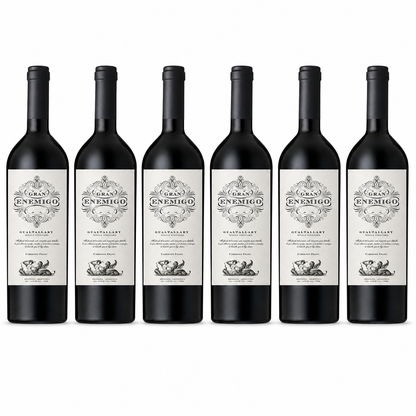Gran Enemigo Gualtallary Cabernet Franc 2023 Wine Case (6 x 750ml) | Aleanna