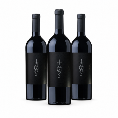 Judas Magnum Malbec 1.5L 3-Bottle Case