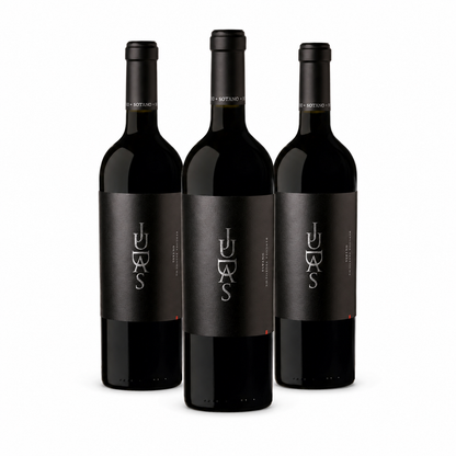 Judas El Relato Limited Edition Malbec 3-Bottle Case