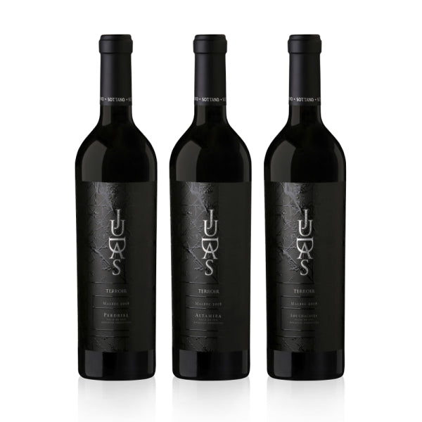 La Biblia de Judas Malbec 750ml x 3