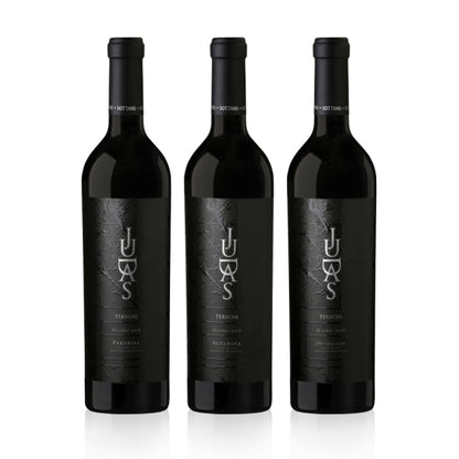 La Biblia de Judas Malbec 750ml x 3