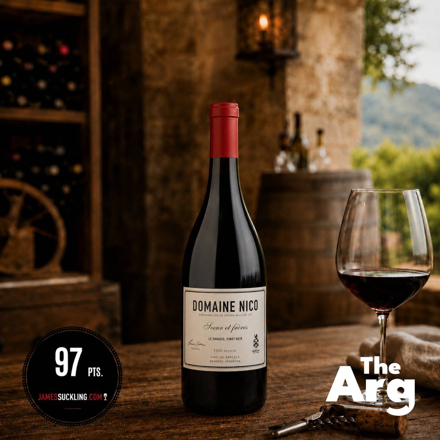 Domaine Nico Le Paradis Pinot Noir 750ml | Premium Argentine Pinot Noir (Case of 6 bottles)