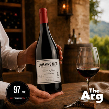 Domaine Nico Le Paradis Pinot Noir 750ml | Premium Argentine Pinot Noir