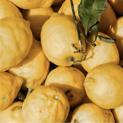 Amelia Ice Tea Lemon | Ready-to-Drink Iced Tea 354ml Six-Pack