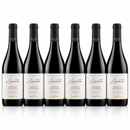 Luigi Bosca Apuntes Cabernet Sauvignon Altamira Red Wine | 6 Bottles