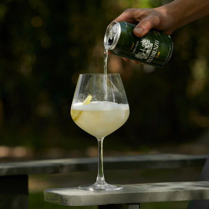 Mathienzo Tonic: Premium Sparkling Yerba Mate Beverage (6 Pack)