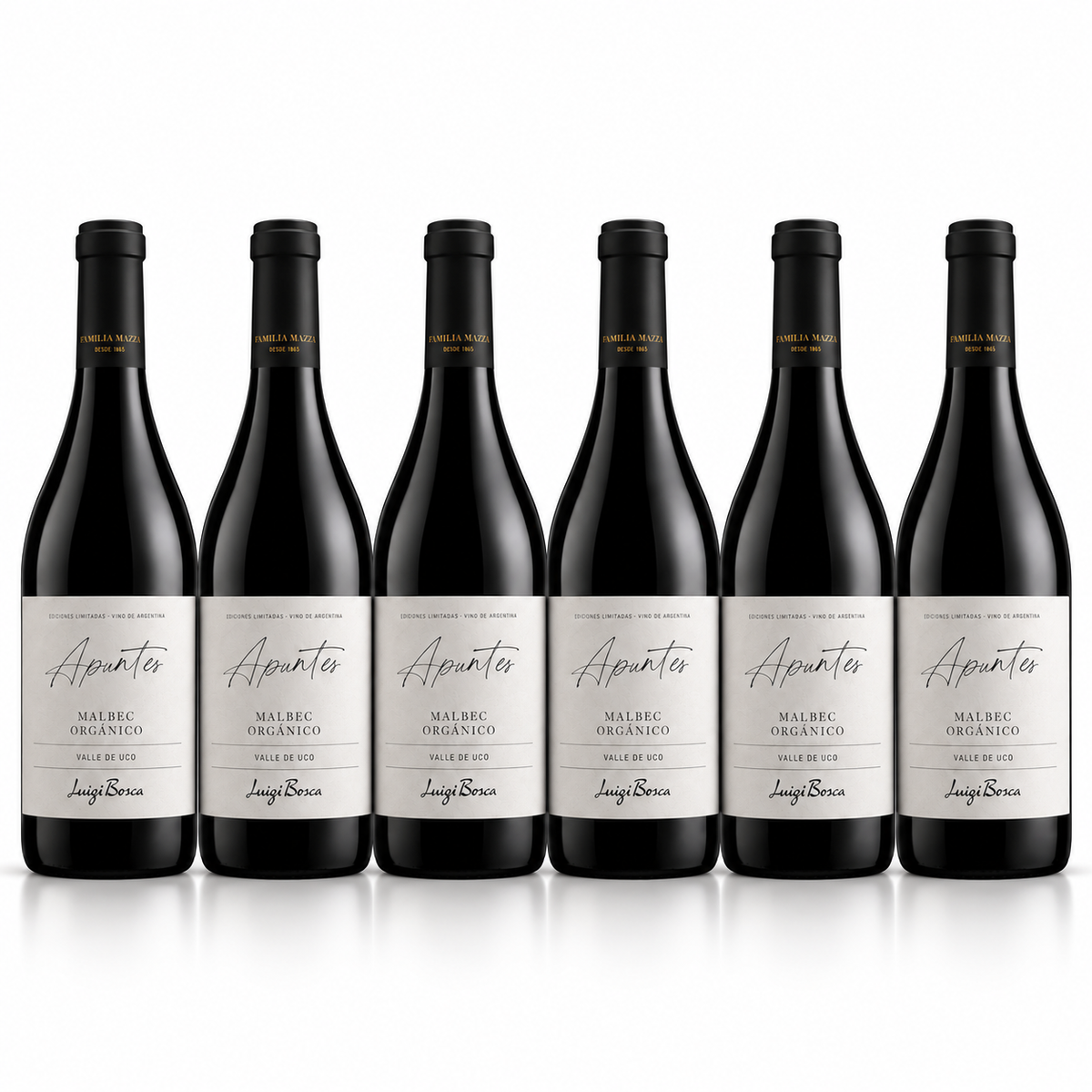 Luigi Bosca Apuntes Malbec Red Wine | 6 Bottles