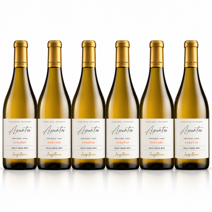 Luigi Bosca Apuntes Naranjo Orange Wine | 6 Bottles
