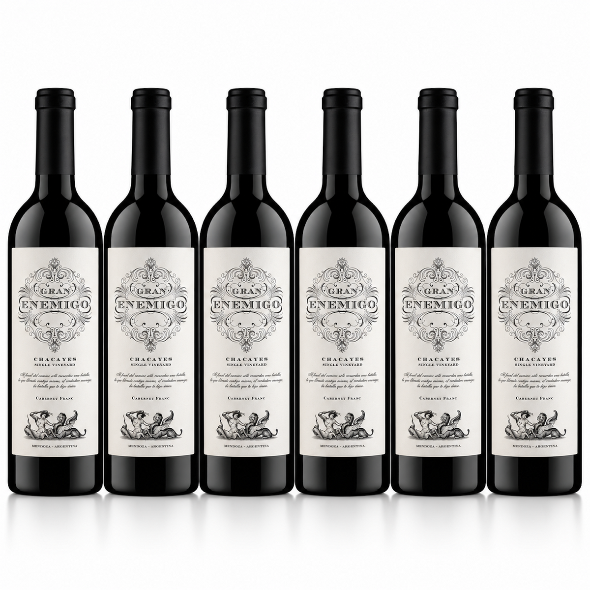 Gran Enemigo Chacayes 2023 Cabernet Franc Blend  | 6 Bottles
