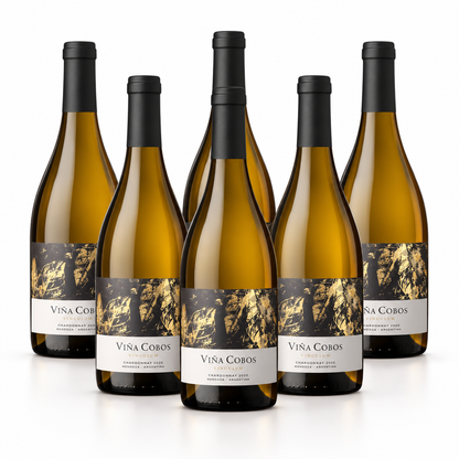 Viña Cobos Vinculum Chardonnay | 6 Bottles