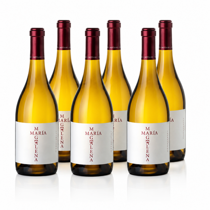 María Magdalena Chardonnay Gualtallary 750ml x 6