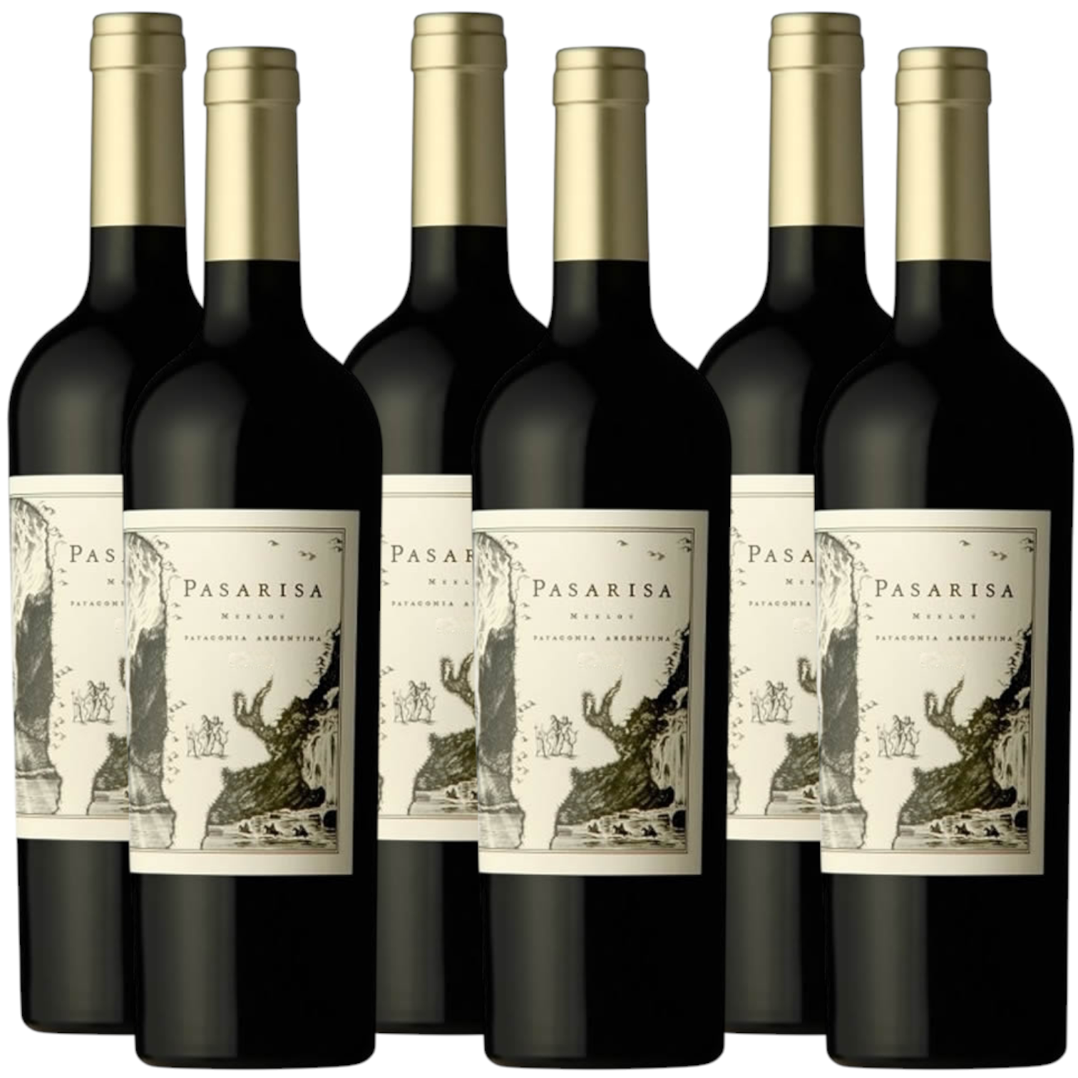 Pasarisa Patagonian Merlot 750ml (6 Bottles)