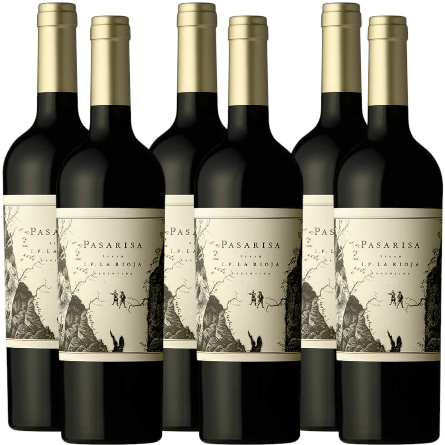 Pasarisa Syrah from La Rioja 750ml (6 Bottles)