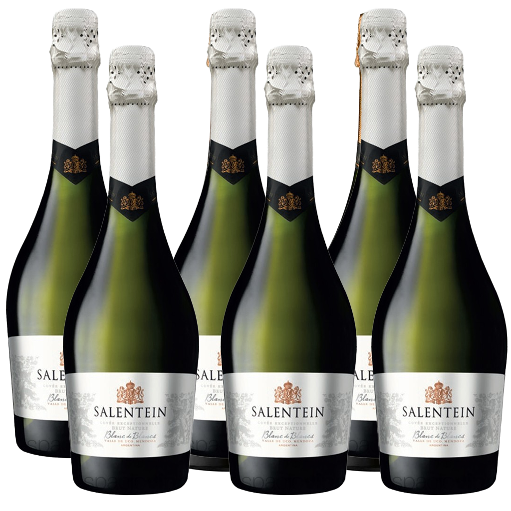 Salentein Blanc de Blancs Sparkling Wine 750ml (6 Bottles)