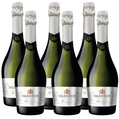 Salentein Blanc de Blancs Sparkling Wine 750ml (6 Bottles)