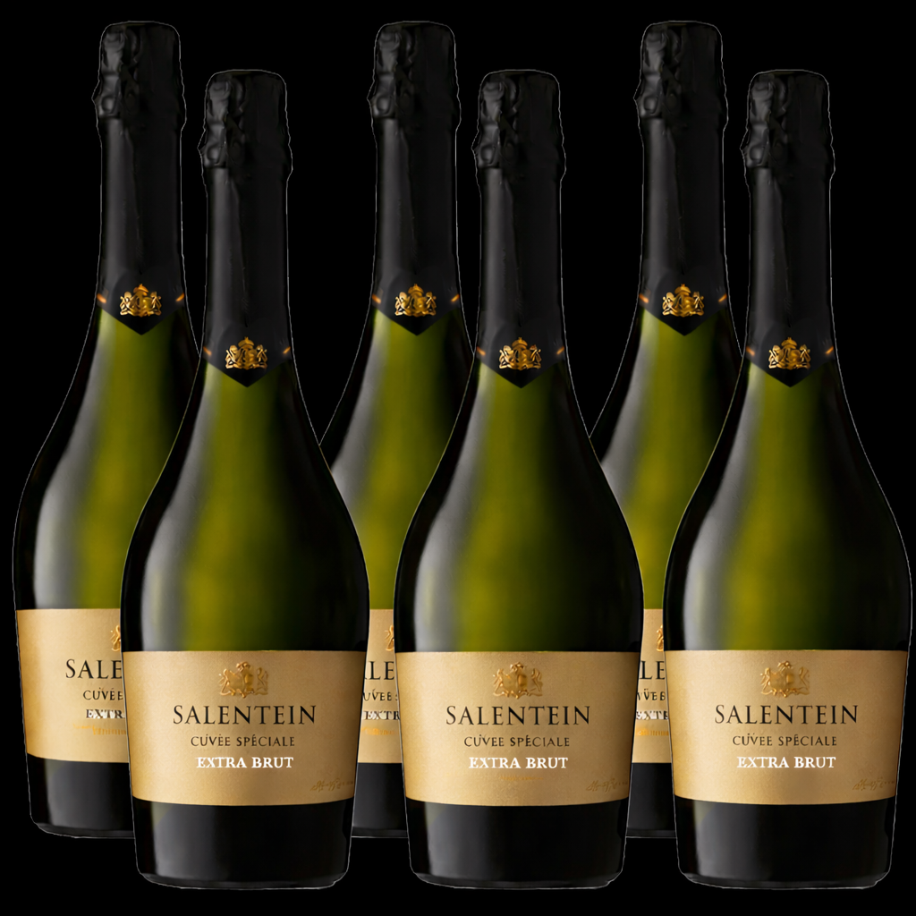 Salentein Extra Brut Sparkling Wine 750 ml  | Case of 6 Bottles