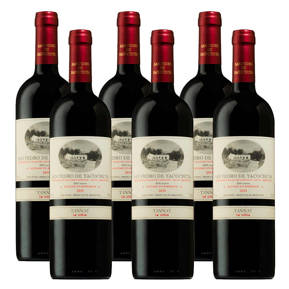 San Pedro de Yacochuya Tannat 750ml (6 Bottles)