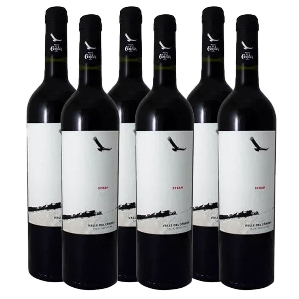 Valle del Condor Syrah 750ml (6 Botellas)