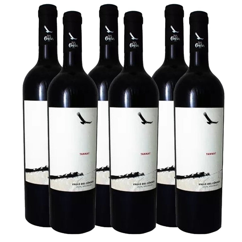 Valle Del Condor Tannat 750ml (6 Bottles)