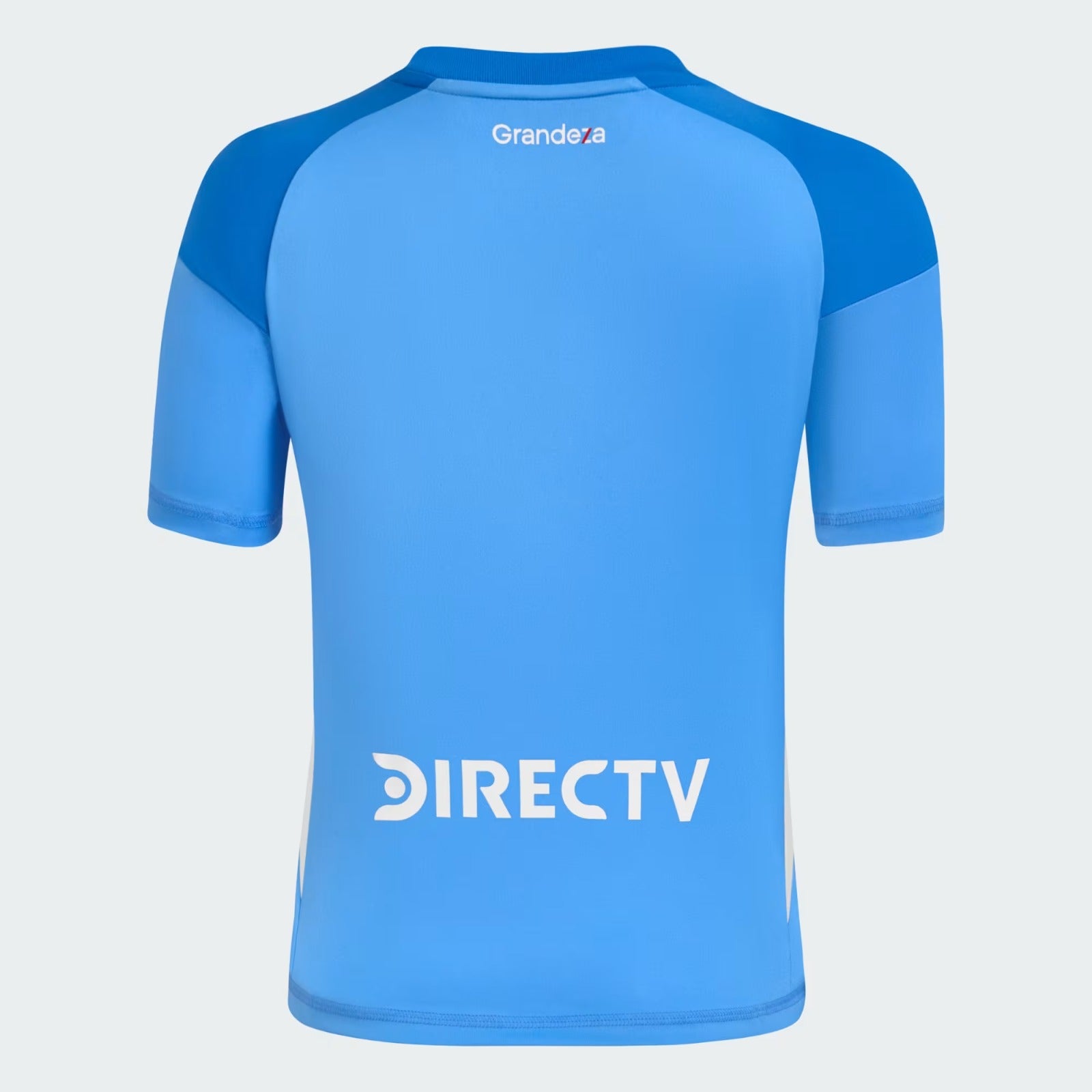 Hotel Kalinga Argentina Goalkeeper Jersey Givova Adidas Us Release