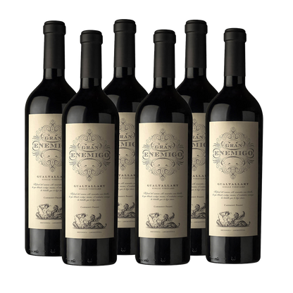 Gran Enemigo Gualtallary Cabernet Franc SPECIAL VINTAGE 2021 750ml (6 bottles)
