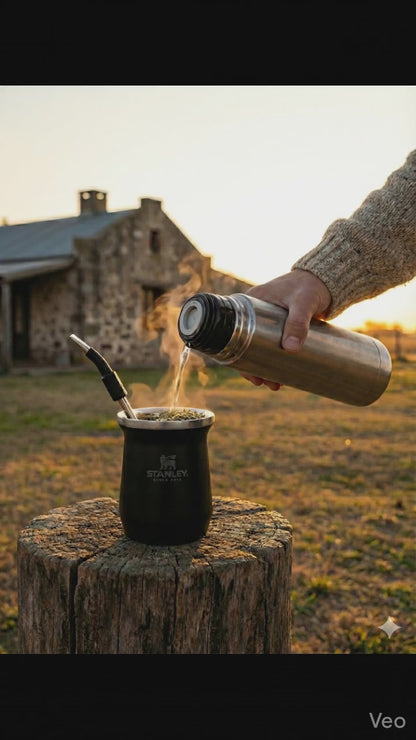 Official Stanley Classic Mate Set - Mate + Spoon Straw - Stainless Steel