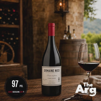 Domaine Nico Le Paradis Pinot Noir 750ml | Premium Argentine Pinot Noir (Case of 6 bottles)
