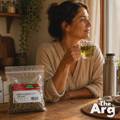 Peppermint Herbal Infusion with Leaves and Stems Guiral 50g | Mint Tea Blend