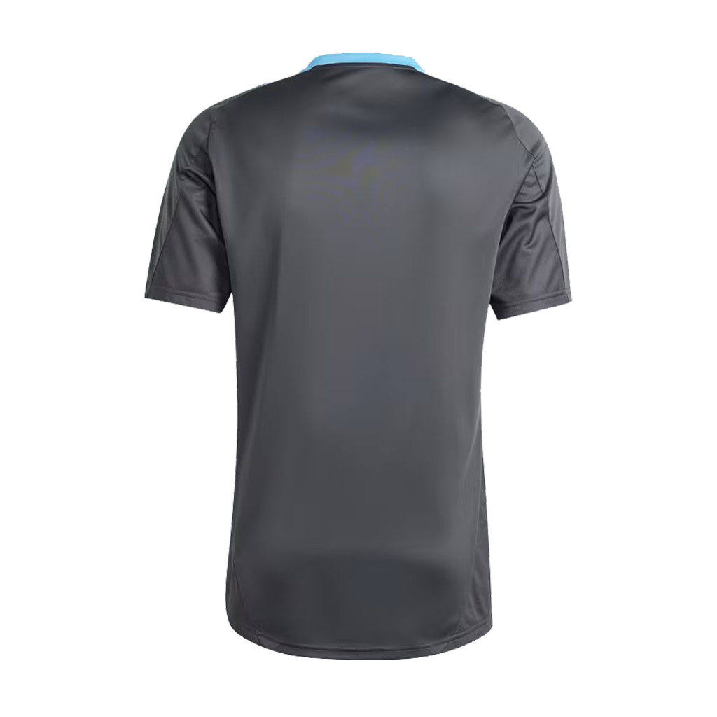 remera-seleccion-argentina-dorso