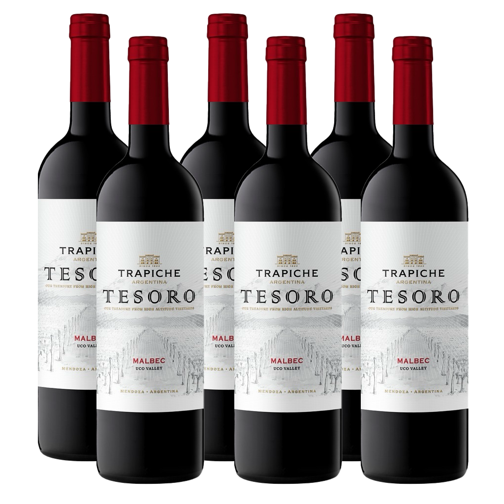 Trapiche Tesoro Malbec 750ml (6 Bottles)