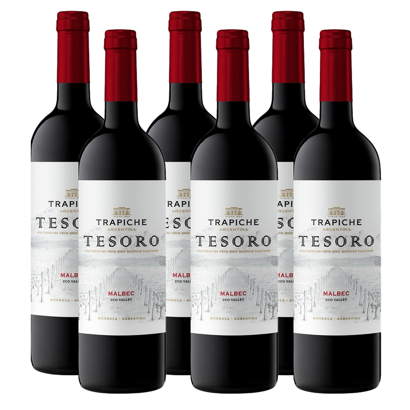 Trapiche Tesoro Malbec 750ml (6 Bottles)