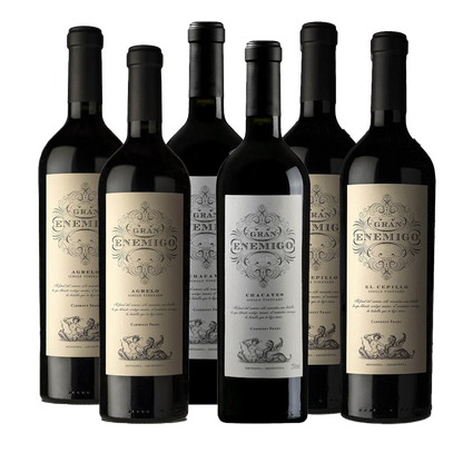 Gran Enemigo Special Selection -  El Cepillo, Agrelo & Chacayes Cabernet Franc Mix 750ml (6 bottles)